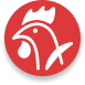 Home 4 ICON 1